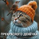  , , 84  -  16  2025    