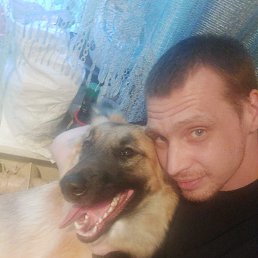 ���� �������, ������, 36 ��� - ��������� 9 ������� 2026