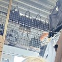 ���� ��������, �������, 38 ��� - ��������� 28 ������� 2025 � ������ ���� ����������