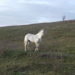 ����, ������, 25 ���