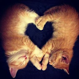 �������, ������, 22 ����