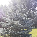 ���� �����, ������ - ��������� 2 �������� 2025 � ������ ������ ��������