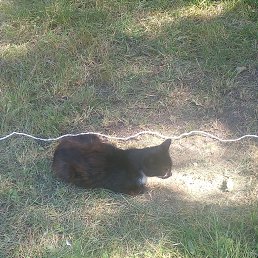 ���� ����, �����������, 57 ��� - ��������� 6 ����� 2026