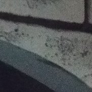 ����, 49 ���, ����