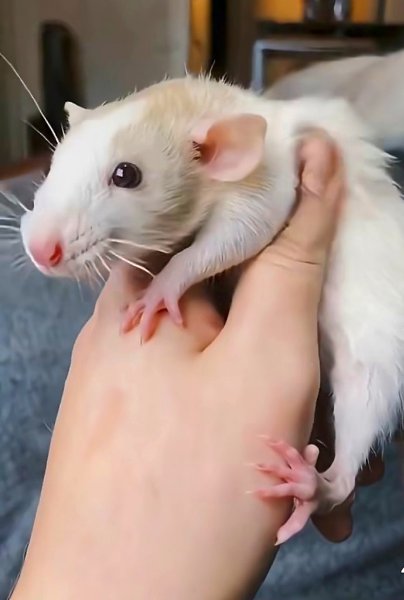 ,       ,  ...  -      . ... - 3