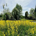 ���� ��������, �����-��������� - ��������� 17 ��� 2024 � ������ ���� ����������