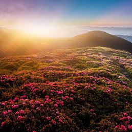 ���� �������, ���������, 45 ��� - ��������� 3 ������ 2025