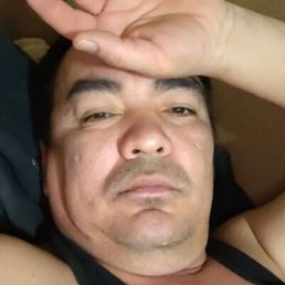 ����, ������, 44 ����