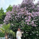 ���� &deg;&bull;&hearts;A����&hearts;&deg;, ������ - ��������� 29 ������ 2024 � ������ ���� ����������