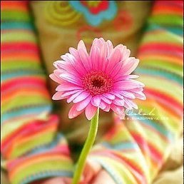 Marina, �����-���������, 28 ���