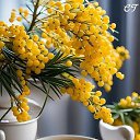 ���� Randar, ������� - ��������� 8 ����� 2026 � ������ ������ ��������