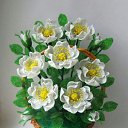 ���� Alena, �������, 56 ��� - ��������� 3 ����� 2025 � ������ ���� ��������� ����