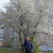 �������, 44 ����, �����