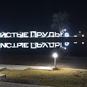���� �������, �������, 51 ��� - ��������� 31 ������� 2024 � ������ ������ ��������