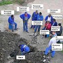 ���� ����, ��������, 44 ���� - ��������� 3 ������ 2024 � ������ ���� ����������