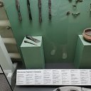 ���� �����, ������, 41 ��� - ��������� 12 ���� 2025 � ������ ����������� �������