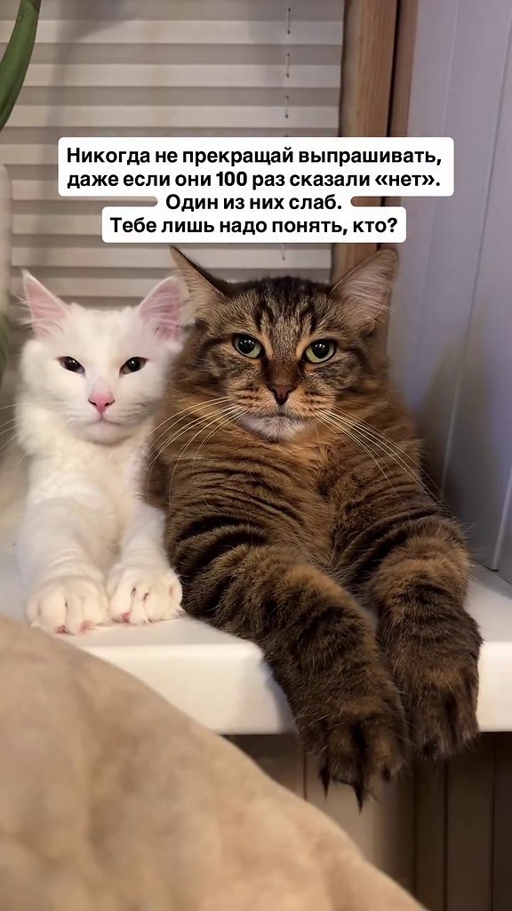 �� ����� ������ �����) - 2