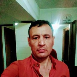 , 52, 