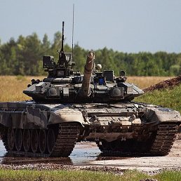 ���� �, �����������, 44 ����