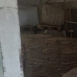 ����, �������, 51 ���