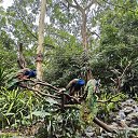 ���� ���, �����-���������, 69 ��� - ��������� 23 ������ 2026