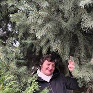 ����, 54 ����, ������