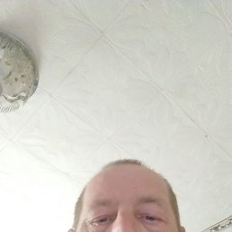 �������, ����, 51 ���