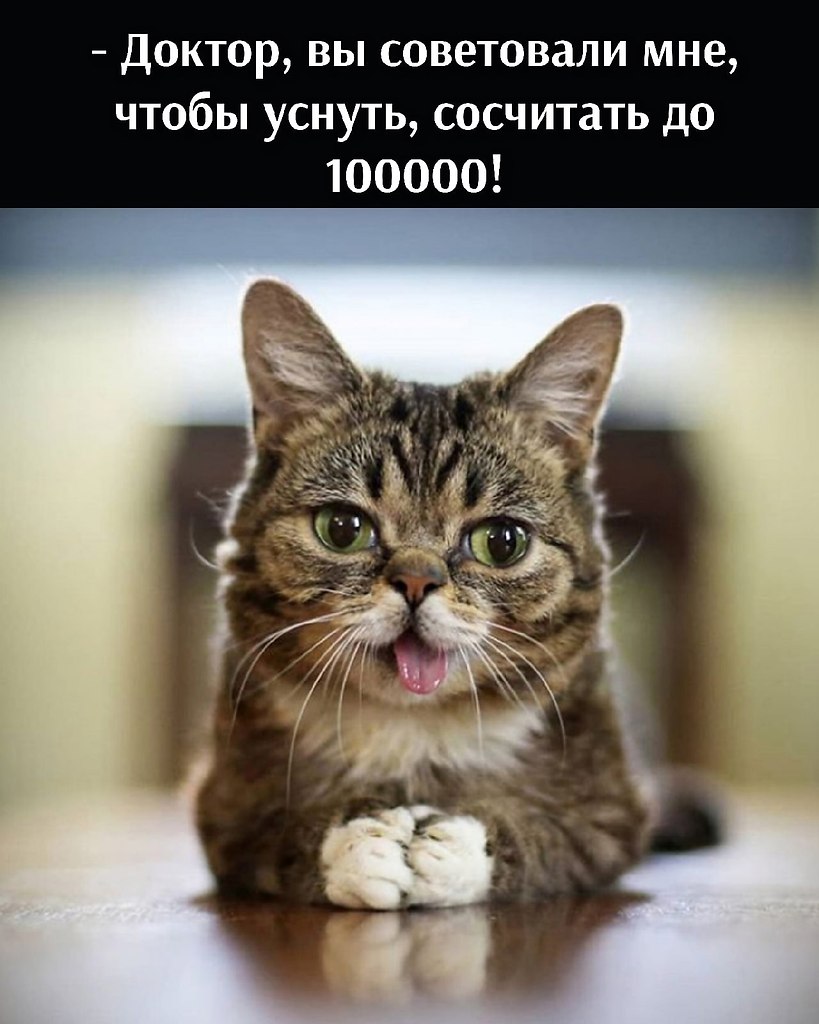       - 7  2025  12:44