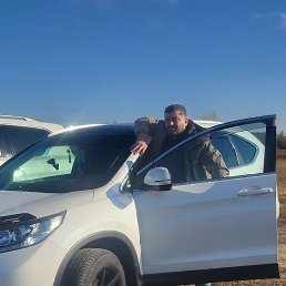 ���, 41 ���, ������