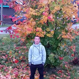 , 37, 