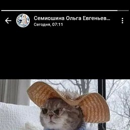 ���� �����, ������, 46 ��� - ��������� 30 ������ 2026