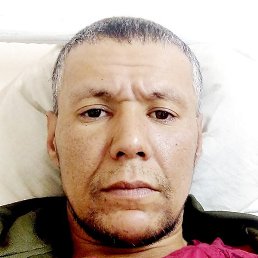 Bul, ���������, 41 ���