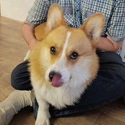 ������, 34 ����, ����������