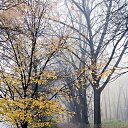 ���� �������, �����, 69 ��� - ��������� 28 ��� 2025 � ������ �������� �� ����� ����������������