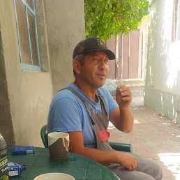 , 49, 