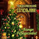 ���� �������, �������, 68 ��� - ��������� 6 ������ 2025 � ������ ������ ��������