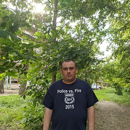 ���� �������, �������, 42 ���� - ��������� 4 ����� 2026