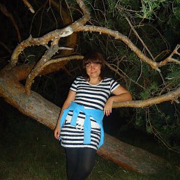 ������, ������, 49 ���