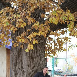 �������, �������