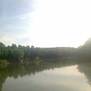 ���� ������, ������, 54 ���� - ��������� 11 ����� 2026 � ������ ���� ����������