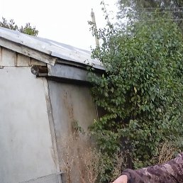 ������, �������, 40 ���