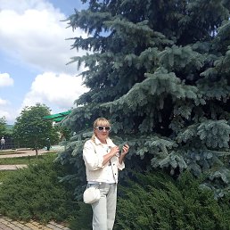 ���� �������, ������, 54 ���� - ��������� 6 ������� 2026