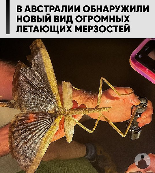 � ��������� ����� ������� ����� ��������� � ����������� ��������� ������ 40 ��.������ ���������� ...