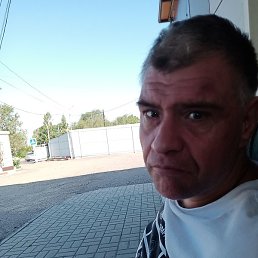 �����, ������, 43 ����