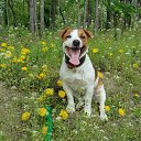 ���� ����, ���������, 59 ��� - ��������� 30 ������� 2025 � ������ ���� ����������