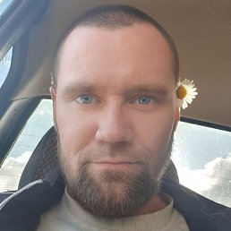 �������, �����, 32 ����