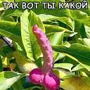 ���� �leksandr ******))))), ������� - ��������� 12 ������� 2025 � ������ ������ ��������