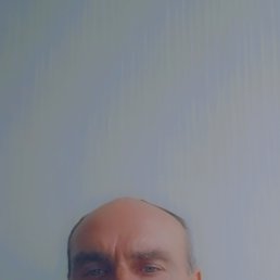 ������, 50 ���, ��������