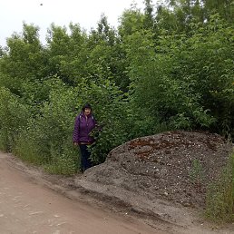 , 50,  
