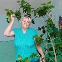 ���� ���������, ������, 60 ��� - ��������� 14 ������� 2025 � ������ ���� ����������